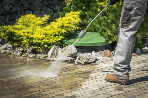 Best Pre-Holiday Cleaning  in Gosport, IN